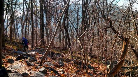 The Appalachian Trail... beautiful, but kind of rocky!
